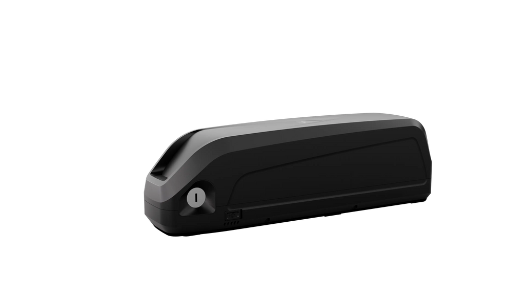 Mobility Robot X12 PRO